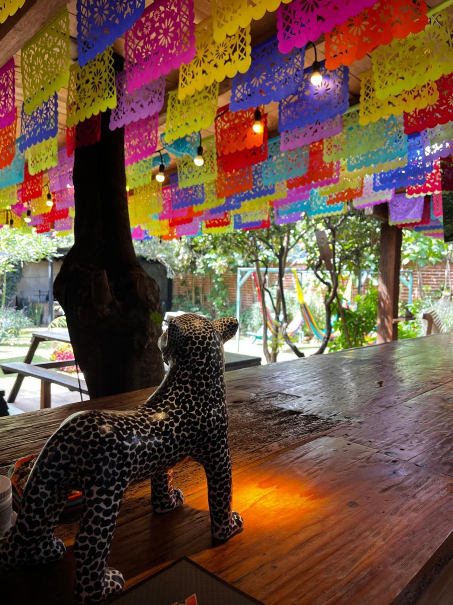 The Coffee Bean Hostel San Cristóbal de Las Casas Екстериор снимка